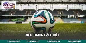 Kèo Thắng Cách Biệt: Đọc Đúng Thế Trận, Bắt Chuẩn Kịch Bản